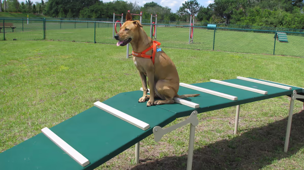 Bob Gardner Dog Park photo 1